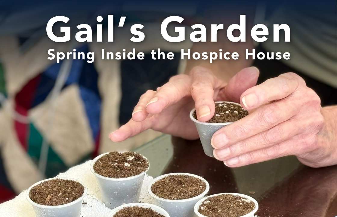 A hospice patient's hands gently tap the soil in a small Dixie cup. Alsovisible are five other small soil filled cups on top of a towel on a bedside table.